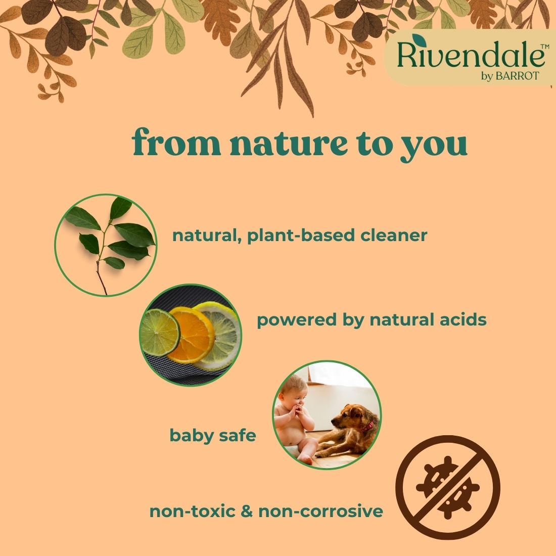 RIVENDALE Toilet Cleaner 1000ml