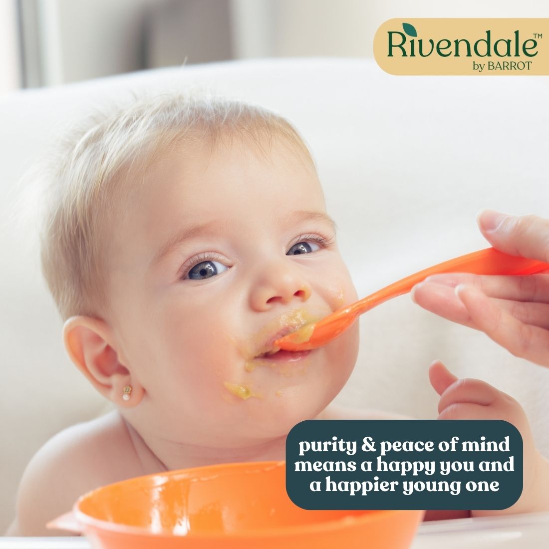 RIVENDALE Baby Bottle & Dishwash 500ml