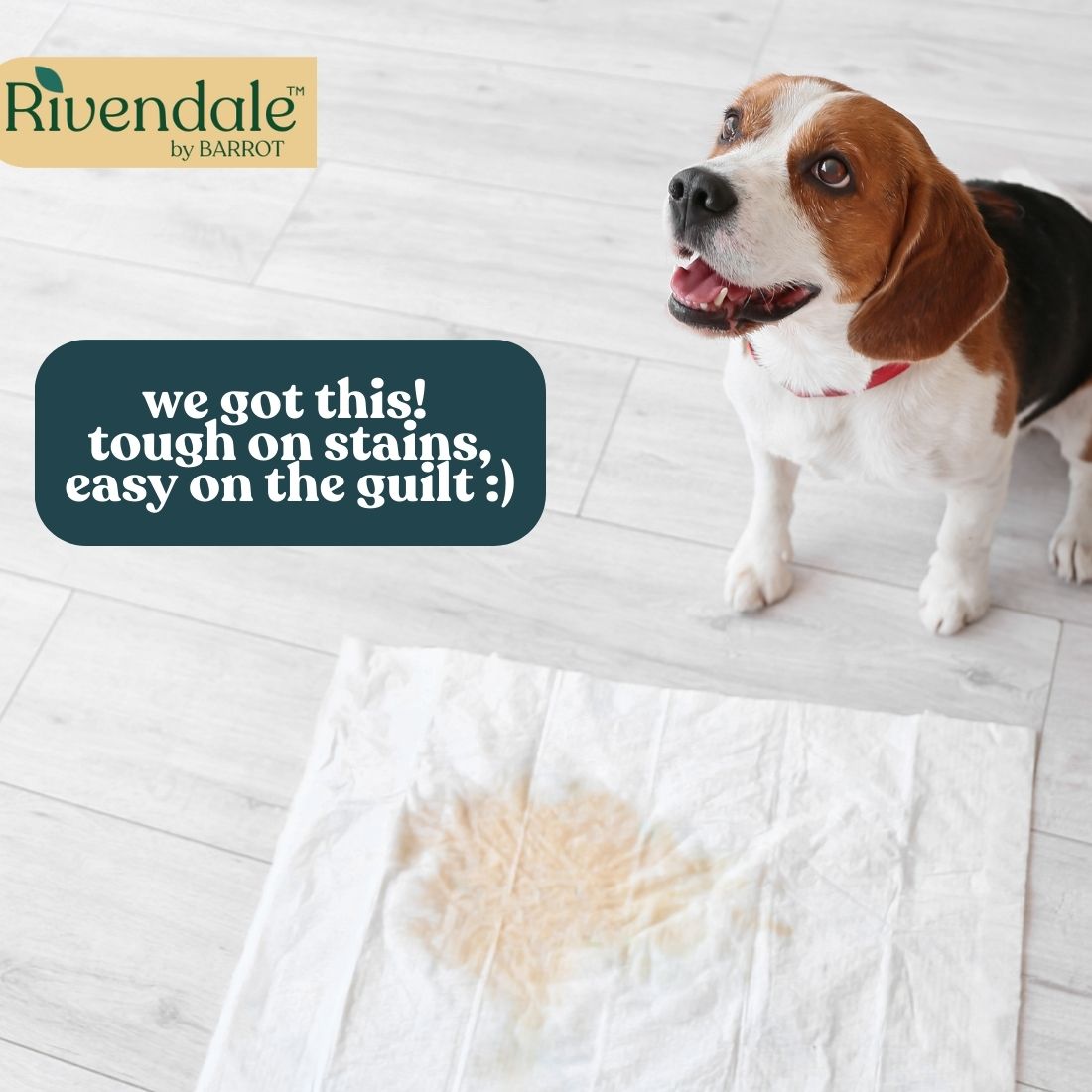 RIVENDALE Pet Stain & Odour Remover (500ml)